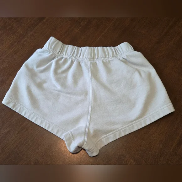 The North Face Gray Shorts - Picture 5 of 9